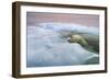 The Ice Bear-Paul Souders-Framed Photographic Print