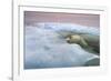 The Ice Bear-Paul Souders-Framed Photographic Print