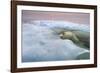 The Ice Bear-Paul Souders-Framed Photographic Print