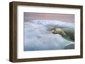 The Ice Bear-Paul Souders-Framed Photographic Print