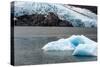 The Ice of Portage Glacier-Latitude 59 LLP-Stretched Canvas