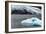 The Ice of Portage Glacier-Latitude 59 LLP-Framed Photographic Print