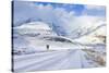 The Icefields Parkway Road Highway Covered in Ice at the Icefields Centre-Neale Clark-Stretched Canvas