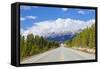 The Icefields Parkway Road Highway Through Jasper National Park-Neale Clark-Framed Stretched Canvas