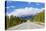 The Icefields Parkway Road Highway Through Jasper National Park-Neale Clark-Stretched Canvas