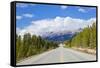 The Icefields Parkway Road Highway Through Jasper National Park-Neale Clark-Framed Stretched Canvas