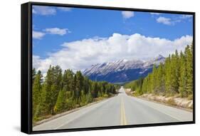 The Icefields Parkway Road Highway Through Jasper National Park-Neale Clark-Framed Stretched Canvas