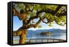 The Idyllic Isola Dei Pescatori and Isola Bella, Borromean Islands, Lake Maggiore, Piedmont, Italy-Doug Pearson-Framed Stretched Canvas