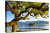 The Idyllic Isola Dei Pescatori and Isola Bella, Borromean Islands, Lake Maggiore, Piedmont, Italy-Doug Pearson-Stretched Canvas