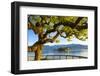 The Idyllic Isola Dei Pescatori and Isola Bella, Borromean Islands, Lake Maggiore, Piedmont, Italy-Doug Pearson-Framed Photographic Print