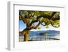 The Idyllic Isola Dei Pescatori and Isola Bella, Borromean Islands, Lake Maggiore, Piedmont, Italy-Doug Pearson-Framed Photographic Print