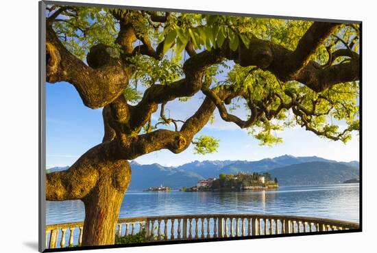 The Idyllic Isola Dei Pescatori and Isola Bella, Borromean Islands, Lake Maggiore, Piedmont, Italy-Doug Pearson-Mounted Photographic Print