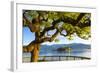 The Idyllic Isola Dei Pescatori and Isola Bella, Borromean Islands, Lake Maggiore, Piedmont, Italy-Doug Pearson-Framed Photographic Print