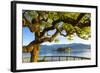 The Idyllic Isola Dei Pescatori and Isola Bella, Borromean Islands, Lake Maggiore, Piedmont, Italy-Doug Pearson-Framed Photographic Print