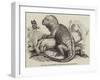 The Iguana, in the Gardens of the Zoological Society, Regent'S-Park-null-Framed Giclee Print