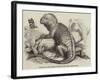 The Iguana, in the Gardens of the Zoological Society, Regent'S-Park-null-Framed Giclee Print