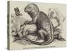 The Iguana, in the Gardens of the Zoological Society, Regent'S-Park-null-Stretched Canvas