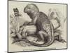 The Iguana, in the Gardens of the Zoological Society, Regent'S-Park-null-Mounted Giclee Print