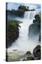 The Iguazu Waterfalls, Iguazu National Park, UNESCO World Heritage Site, Argentina, South America-Michael Runkel-Stretched Canvas