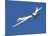 The Ikhana Unmanned Aircraft-Stocktrek Images-Mounted Photographic Print