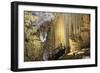 The illuminated interior of Paradise Cave in Phong Nha Ke Bang National Park, Quang Binh, Vietnam,-Alex Robinson-Framed Photographic Print