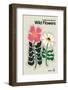 The Illustrated Book of Wild Flowers Vol.2 Grey-Frances Collett-Framed Photographic Print