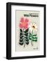 The Illustrated Book of Wild Flowers Vol.2 Grey-Frances Collett-Framed Photographic Print