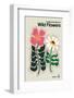 The Illustrated Book of Wild Flowers Vol.2 Grey-Frances Collett-Framed Photographic Print