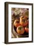 The Image of Autumn in Korea-KPG Ivary-Framed Photographic Print