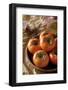 The Image of Autumn in Korea-KPG Ivary-Framed Photographic Print