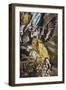 The Immaculate Conception (Detail of Angel-El Greco-Framed Giclee Print
