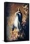 The Immaculate Conception "Of Soult"-Bartolome Esteban Murillo-Framed Stretched Canvas