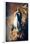 The Immaculate Conception "Of Soult"-Bartolome Esteban Murillo-Framed Art Print