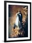 The Immaculate Conception "Of Soult"-Bartolome Esteban Murillo-Framed Premium Giclee Print