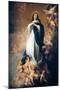 The Immaculate Conception "Of Soult"-Bartolome Esteban Murillo-Mounted Premium Giclee Print