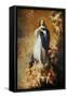 The Immaculate Conception of Soult-Bartolome Esteban Murillo-Framed Stretched Canvas