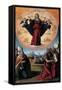 The Immaculate Conception with Saints, C. 1535-1550-Benvenuto Tisi Da Garofalo-Framed Stretched Canvas