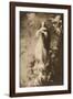 The immaculate Conception-Bartolome Esteban Murillo-Framed Giclee Print