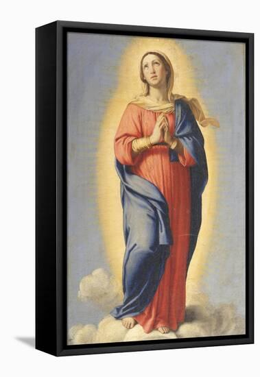 The Immaculate Conception-null-Framed Stretched Canvas