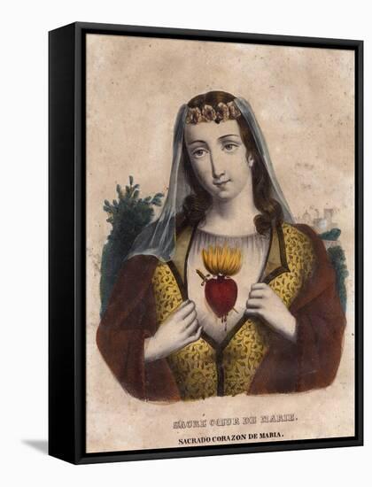 The Immaculate Heart of Mary-null-Framed Stretched Canvas