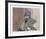 The Immediate Return of the Snuff Dipper-Theadius McCall-Framed Collectable Print