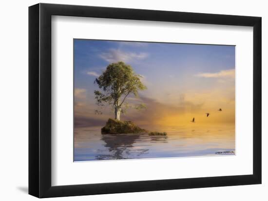 The Immortal Tree-Carlos Casamayor-Framed Art Print