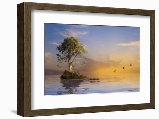 The Immortal Tree-Carlos Casamayor-Framed Art Print