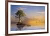 The Immortal Tree-Carlos Casamayor-Framed Giclee Print