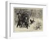 The Imperial Bear Hunt in Russia, Dead, the Emperor of Austria's Prize-Samuel Edmund Waller-Framed Giclee Print