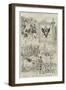 The Imperial Coronation at Moscow-Alfred Courbould-Framed Giclee Print