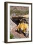 The Inca Bridge Near Mendoza, Argentina, South America-Michael Runkel-Framed Photographic Print