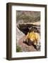 The Inca Bridge Near Mendoza, Argentina, South America-Michael Runkel-Framed Photographic Print