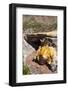 The Inca Bridge Near Mendoza, Argentina, South America-Michael Runkel-Framed Photographic Print