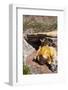 The Inca Bridge Near Mendoza, Argentina, South America-Michael Runkel-Framed Photographic Print